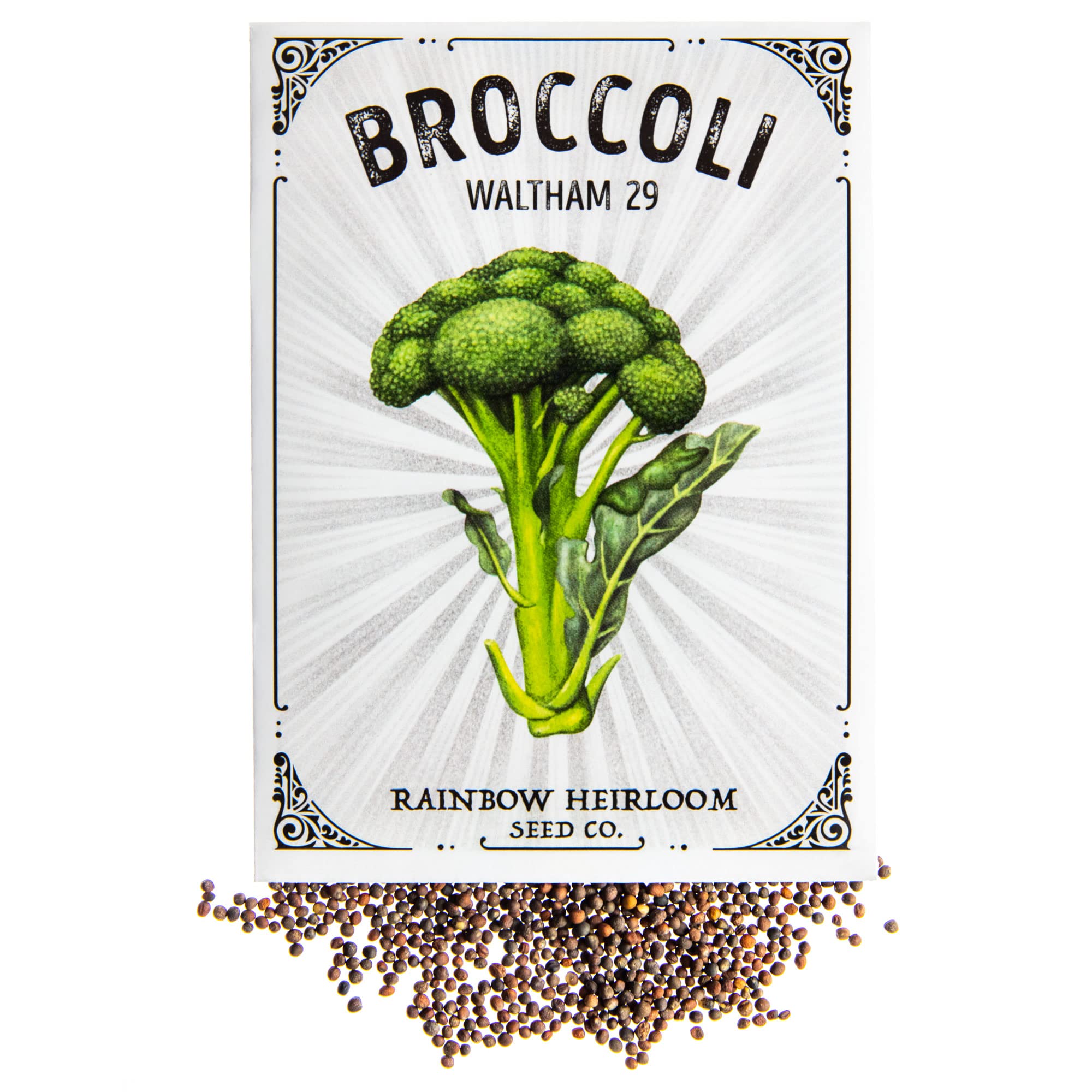 Amazon.com : Broccoli Seeds for Planting | Waltham 29 Variety (2g